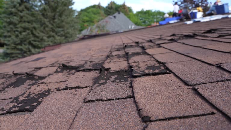  Latham, NY Roofing Service Pros